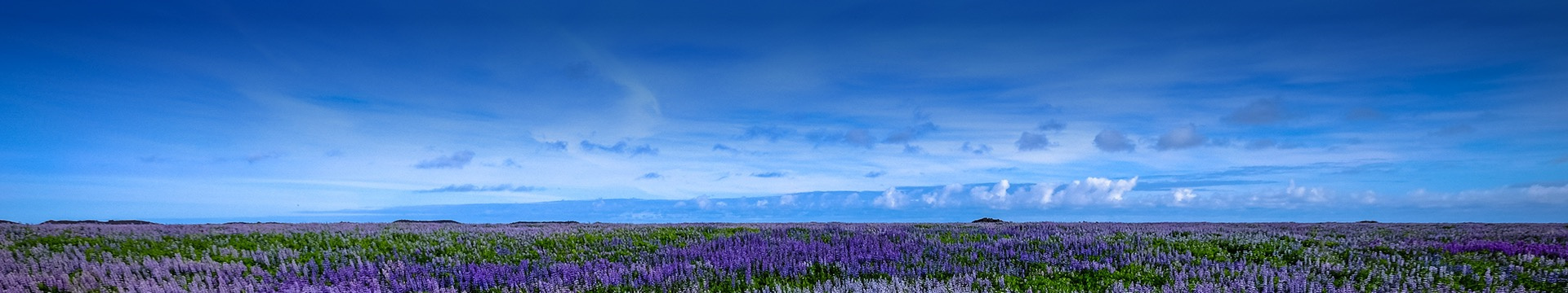 呼和浩特安佑生态纪念园